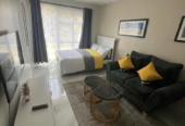 Studio Apartment – Riruta