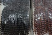 Hair Beauty -Variety of Hairs